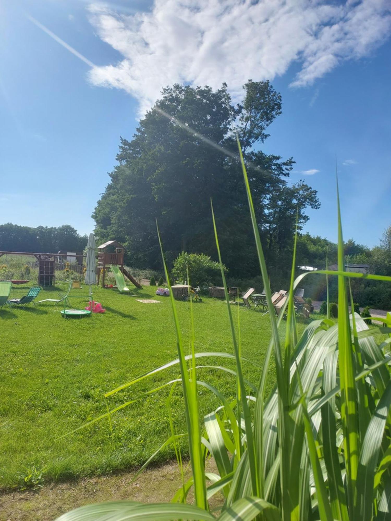 Paprotowka Apartament Wiosenny Paprotno Buitenkant foto